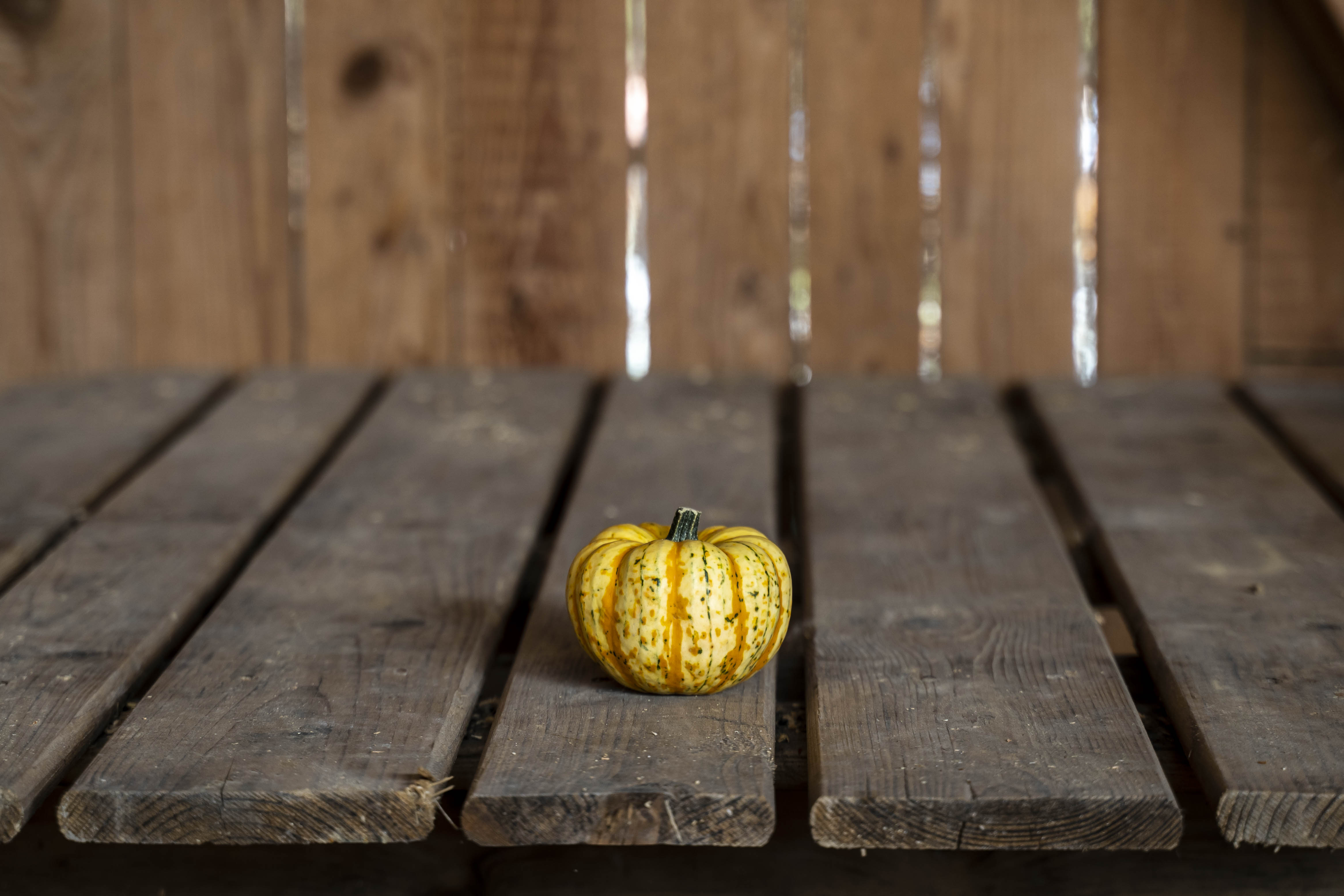 Baked Pumpkin